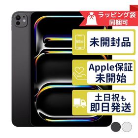 iPad Pro 11インチ M5 Nano-textureガラス 1TB APPLE Wi-Fiモデル 新品未開封 本体