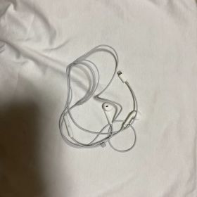 Apple EarPods with Lightning Connector