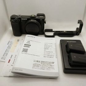 【ショット数4862枚】SONY α6000 ボディ★おまけ付き