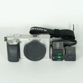 [良品 | シャッター数19,668回] SONY α6000（ILCE-6000） [ボディ シルバー] | SONY Eマウント