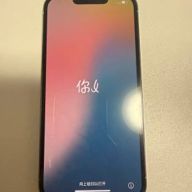 Apple iPhone 13 Pro 本体