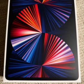 Apple iPad Pro 12.9インチ 第5世代 256GB Wi-Fi