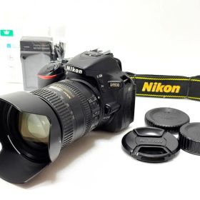 【極美品 S数:5688回】ニコン Nikon D5500 希少レンズセット
