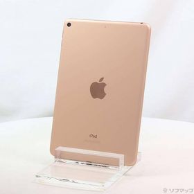 iPad mini 2019 (第5世代) 256GB 新品 31,800円 中古 | ネット最安値の