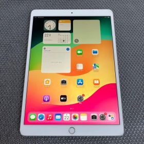 4430【早い者勝ち】iPad Pro 256GB 10.5インチ SIMフリー