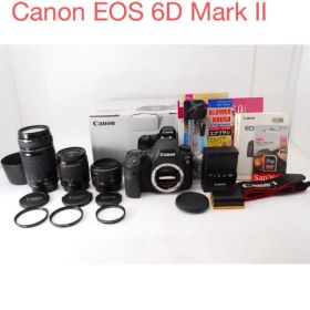 一眼レフカメラCanon EOS 6D mark II標準&望遠&単焦点セット