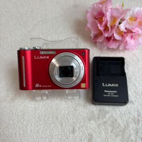 Panasonic LUMIX DMC-ZX1 レッド 本体