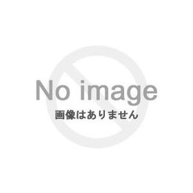 DARK SOULS REMASTERED (特典なし) - PS4