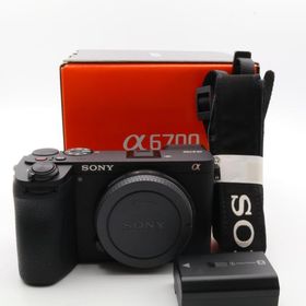 【シャッター回数：4500回】SONY α6700 ILCE-6700 ボディ ブラック 〔SONY E マウント〕