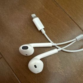 Apple EarPods Lightning