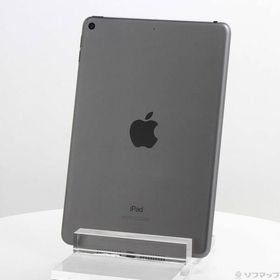 〔中古〕Apple(アップル) iPad mini 第5世代 64GB スペースグレイ MUQW2ZP／A Wi-Fi〔377-ud〕