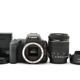 ★美品★ 《ショット数 2719回》 キヤノン CANON EOS Kiss X9 + EF-S 18-55mm F3.5-5.6 IS STM #2547