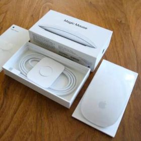 Magic Mouse (USB-C) MXK53ZA/A-white本体白色