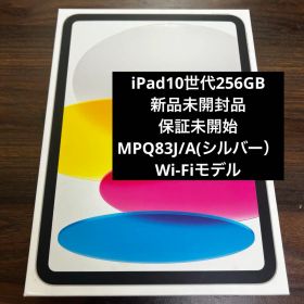 新品未開封品 iPad 第10世代10.9インチ WiFi 256GB④