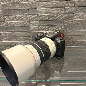 保証書残ありCanon EOS R10 キヤノン ミラーレス L型プレート付き
