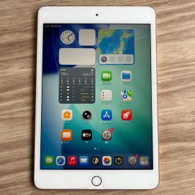 美品 Apple iPad mini 第5世代 Wi-Fi ＋ Cellular