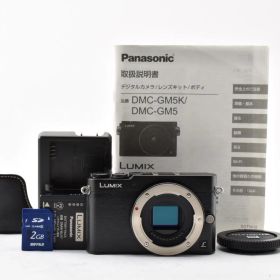 ★美品ショット数4372回★ パナソニック Panasonic DMC-GM5 ブラック ミラーレス一眼 ボディ ★ #8881