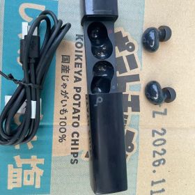Anker Soundcore A30i