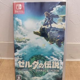ゼルダの伝説 ティアーズ オブ ザ キングダム Switch