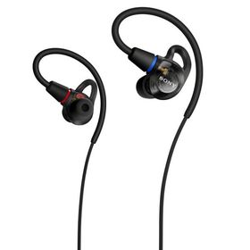 ソニー ダイナミック密閉型カナルイヤホン(ブラック) SONY IER-M500-B 返品種別A