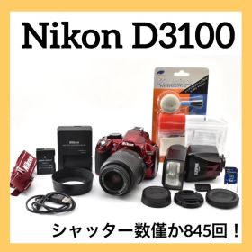 新品級&希少モデル✨Nikon D3100✨シングルレンズ✨ 極小シャッター数
