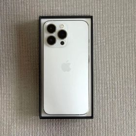 【付属品完備】 iPhone 13 Pro 256GB シルバー SIMフリー