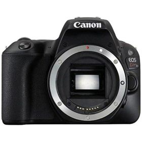 【中古】 キヤノン Canon EOS Kiss X9 ボディ 当店保証30日間 人気 ミラーレス 一眼レフ 交換レンズ カメラ