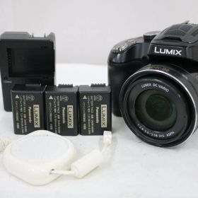 【返品保証】 パナソニック Panasonic LUMIX DMC-FZ70 60x 付属品多数 コンパクトデジタルカメラ e16332