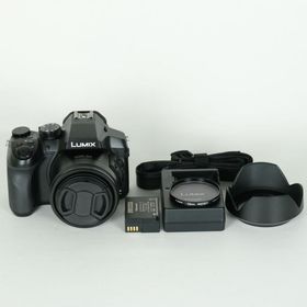 [美品 | フィルター付] Panasonic LUMIX DMC-FZ300 | コンパクトデジタルカメラ
