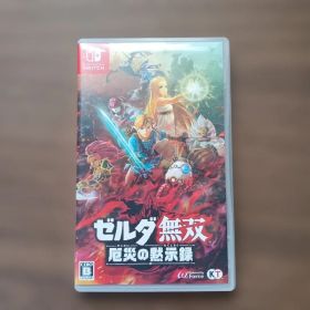 Nintendo Switch ゼルダ無双 厄災の黙示録