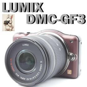 【簡単操作】Panasonic LUMIX DMC-GF3 ミラーレス