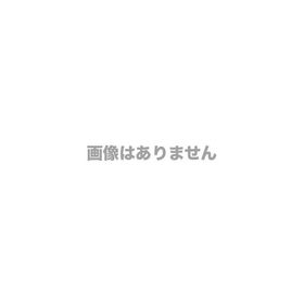 レノボ・ジャパン 21RLSBQT00CT (DiS mobile inside) ThinkPad X13 Gen 6 （Core Ultra 5-225U/ 32GB/ SSD・512GB/ ODDなし/ Win1…