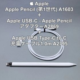 Apple Pencil 第1世代 A1603 動作確認済 アダプター ケーブル