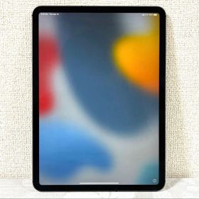 美品 Apple iPad Pro 11インチ 第1世代 64GB 本体のみ
