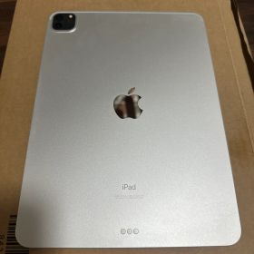 Apple iPad Pro 11インチ 第3世代 本体 256gb