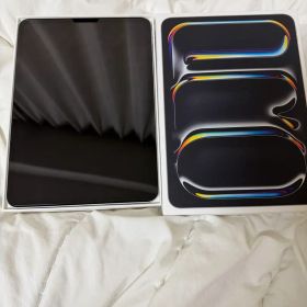 iPad Pro 11インチ 256GB Wi-Fiモデル（シルバー）