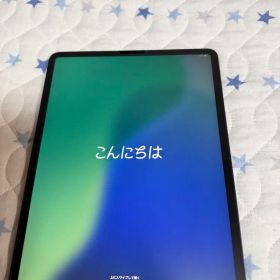 iPad Pro 12.9 第4世代 256G