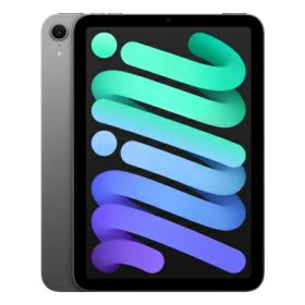 【第7世代】 iPad mini(A17 Pro) Wi-Fi 128GB スペースグレイ MXN63J/A A2993 Apple 当社3ヶ月間保証 中古 イオシス