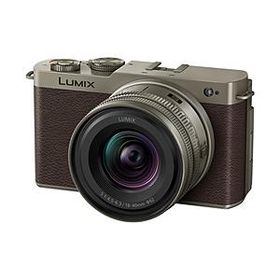 Panasonic(パナソニック) LUMIX S9 広角ズームレンズキット ミラーレス一眼カメラ チタンゴールド DC-S9N-N ［ズームレンズ］ [代引不可]