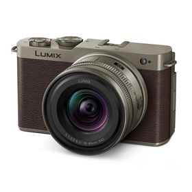 パナソニック デジタル一眼カメラ LUMIX DC-S9N-N 広角ズームレンズキット [チタンゴールド]