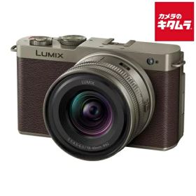 パナソニック LUMIX DC-S9N-N ZLK 広角ズームレンズキット チタンゴールド ルミックス ミラーレス一眼カメラ フルサイズ 高画素 《納期約3－4週間》