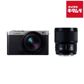 パナソニック LUMIX DC-S9W-S WLK Wレンズキット ダークシルバー ルミックス ミラーレス一眼カメラ フルサイズ 高画素 《納期約3－4週間》