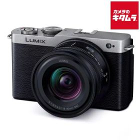 パナソニック LUMIX DC-S9N-S ZLK 広角ズームレンズキット ダークシルバー ルミックス ミラーレス一眼カメラ フルサイズミラーレス 軽量 コンパクト Wi-Fi搭載 《納期約3－4週間》