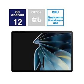 ZTE nubia Pad 3D LPD-20W 裸眼3Dタブレット 3D変換[解像度：2560×1600 /Wi-Fiモデル /ストレージ：128GB] ［12.4型 /Wi-Fiモデル /ストレージ：128GB］
