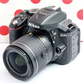 ❤自撮り＆Wi-Fi内蔵❤ ニコン Nikon D5300 ❤初心者大絶賛❤