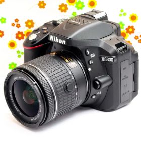ニコン Nikon D5300☆WIFI機能でスマホに転送♪☆一眼レフ☆自撮り可