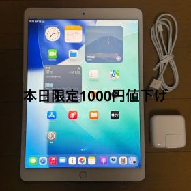 Apple iPad Air 第3世代 本体 シルバーバッテリー87%難有り