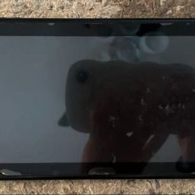 Nintendo Switch 本体(所々問題あり↓)