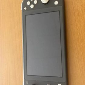 Nintendo Switch Lite 本体 グレー