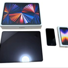 【超美品】特典付きiPad Pro 12.9インチ (第5世代)